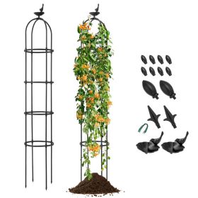 2-Pack Garden Obelisk Trellis for Climbing Plants - Black