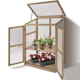 30 x 22 x 43 Inch Garden Portable Wooden Greenhouse - Natural