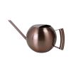 1L Stainless Steel Watering Pot Gardening Potted Small Watering Can With Handle For Watering Plants Flower Garden Tool - Silver