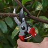 Garden Tools Professional Hand Pruning Shears - Green & Red - Gardening Shears