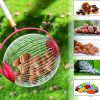 Fruit Picker Walnuts Chestnuts Harvester Adjustable Garden Roller - Red