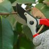 Garden Tools Professional Hand Pruning Shears - Red - Gardening Shears