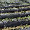 Garden Tools Weed Barrier Landscape Fabric - Black - 6.5 ft